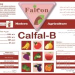 calfal-b
